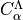 C_{\alpha}^{\Lambda}