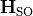 \mathbf{H}_{\rm SO}